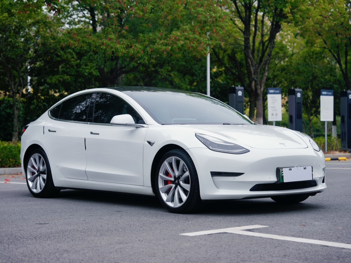 特斯拉 Model 3  2019款 Performance高性能全輪驅(qū)動(dòng)版圖片