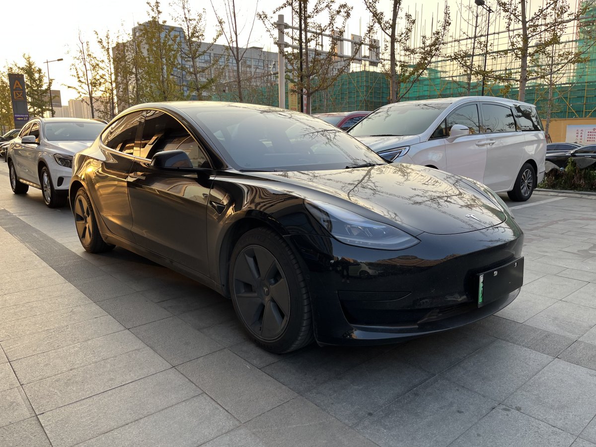 特斯拉 Model 3  2021款 標(biāo)準(zhǔn)續(xù)航后驅(qū)升級(jí)版 3D6圖片