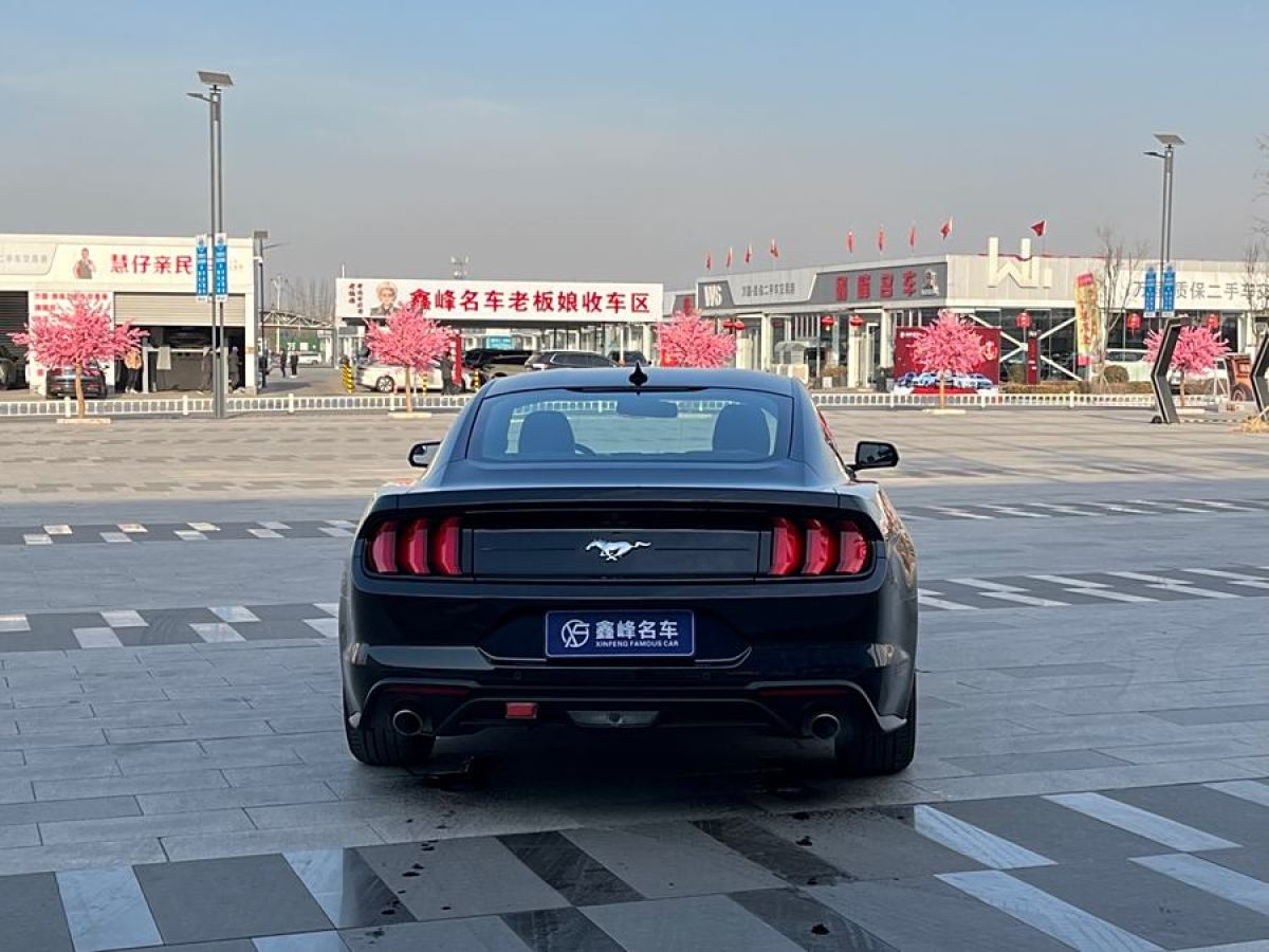 福特 Mustang  2019款 2.3L EcoBoost圖片