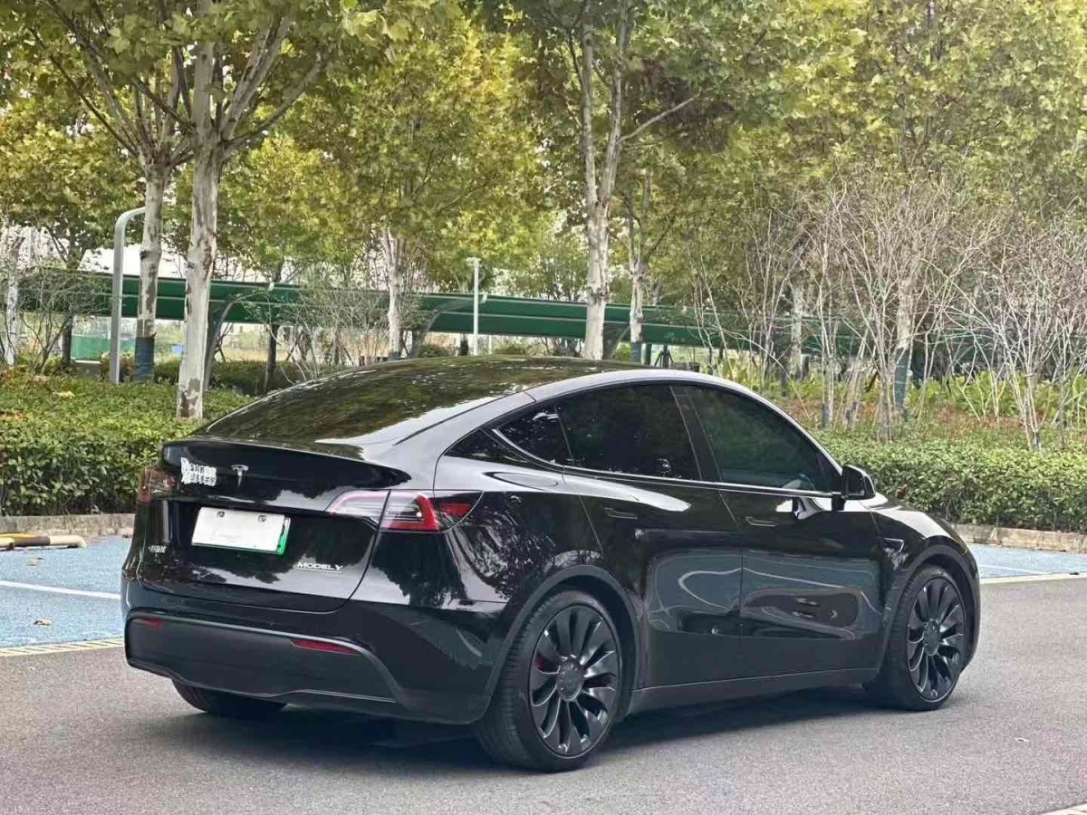 特斯拉 Model 3  2021款 改款 Performance高性能全輪驅(qū)動(dòng)版圖片