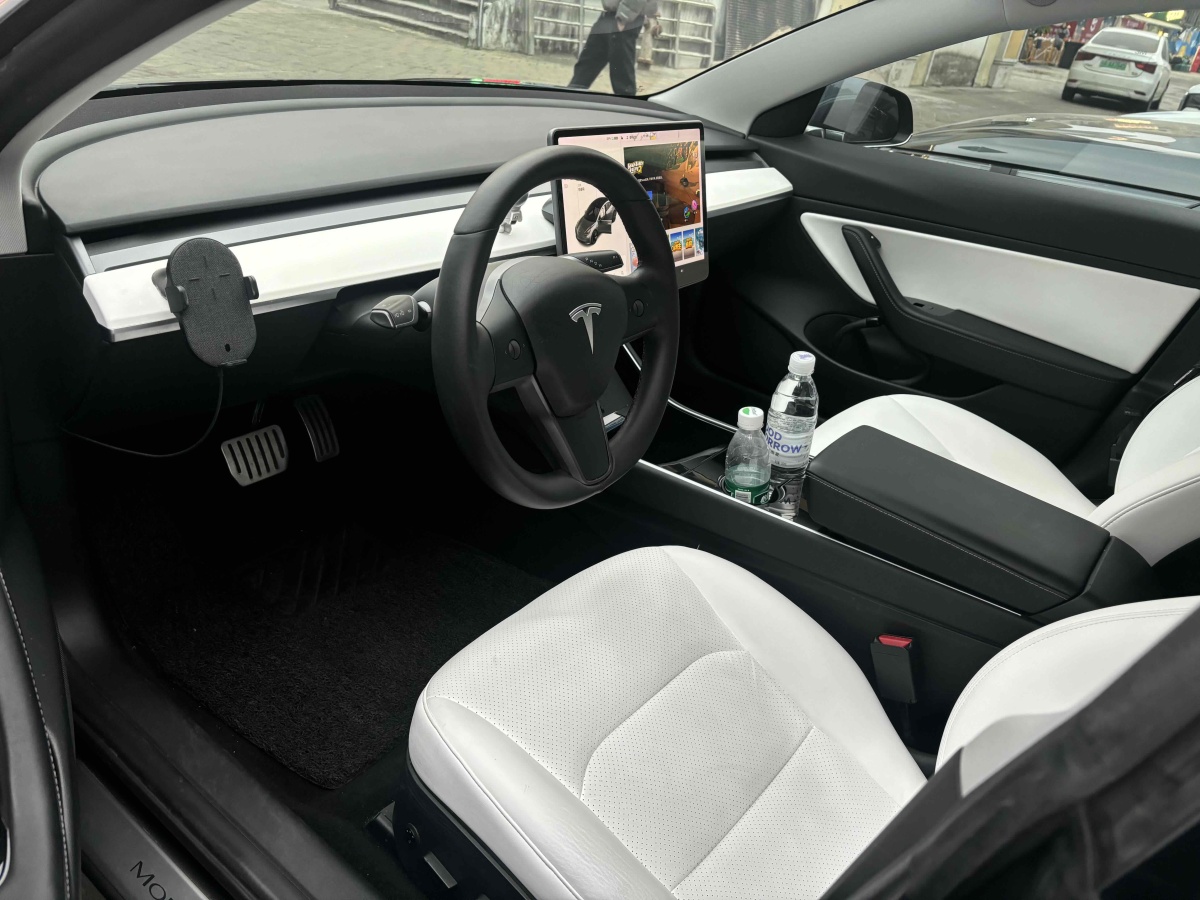 特斯拉 Model 3  2019款 標(biāo)準(zhǔn)續(xù)航后驅(qū)升級版圖片