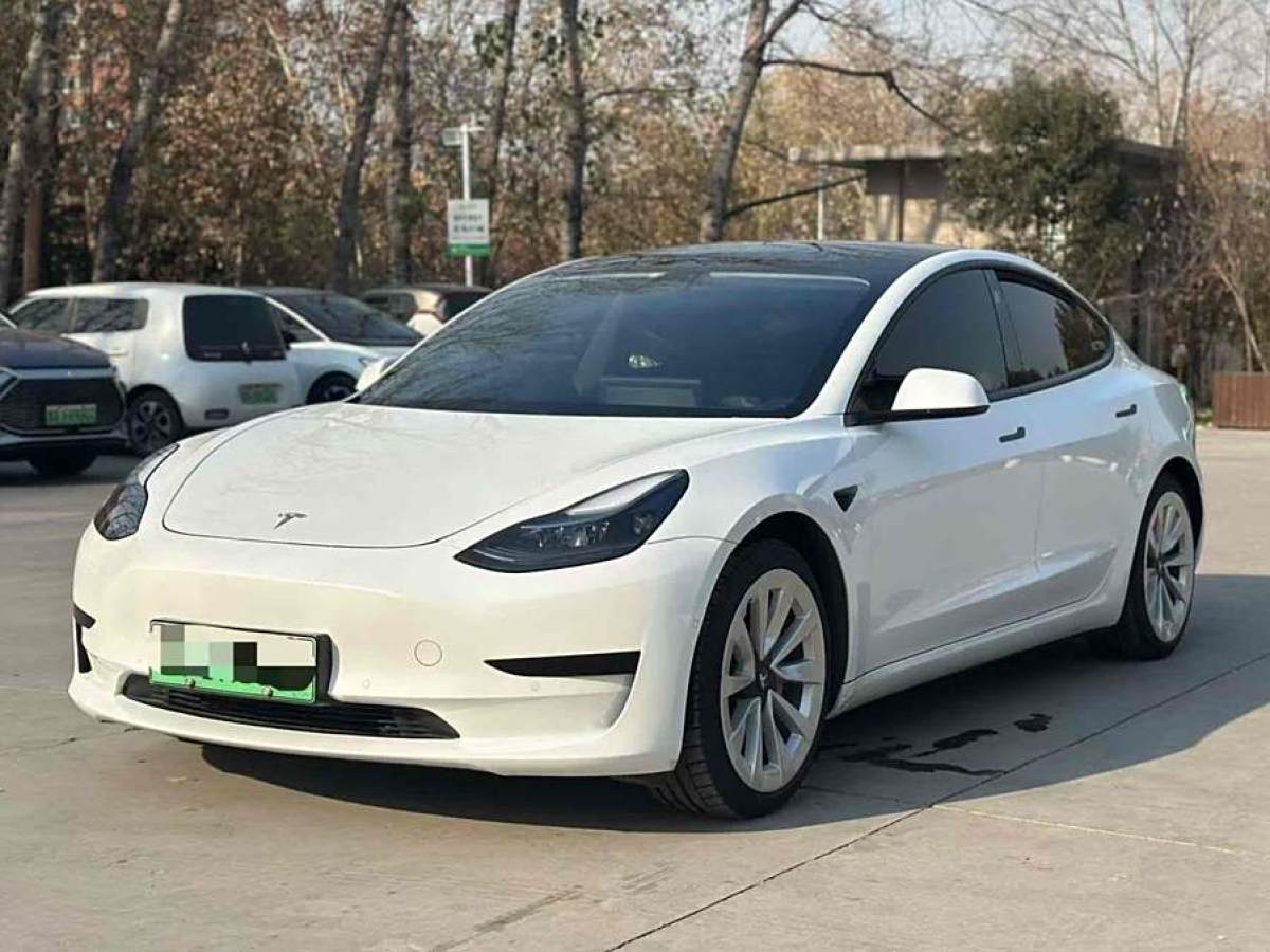 特斯拉 Model 3  2021款 標(biāo)準(zhǔn)續(xù)航后驅(qū)升級(jí)版 3D6圖片