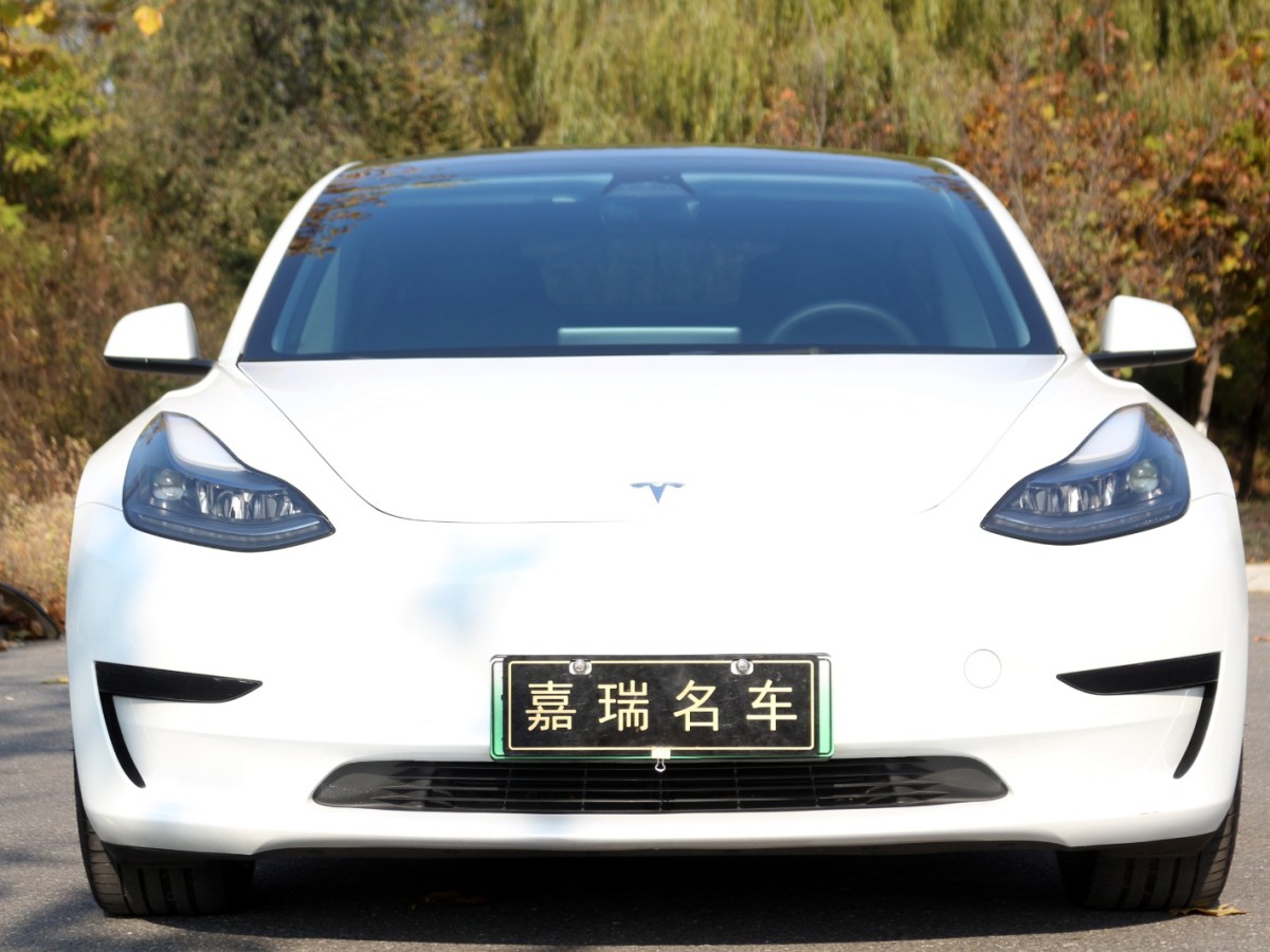 特斯拉 Model 3  2022款 后驅(qū)版圖片