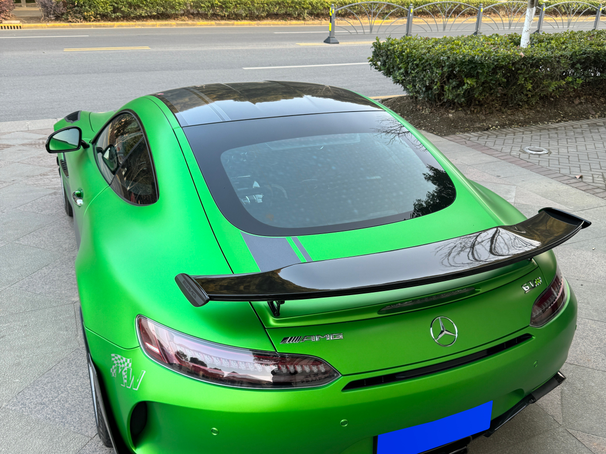 奔馳 奔馳AMG GT  2019款 AMG GT R PRO圖片