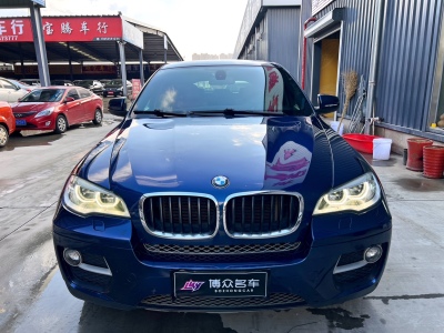 2013年1月 宝马 宝马X6(进口) xDrive35i图片