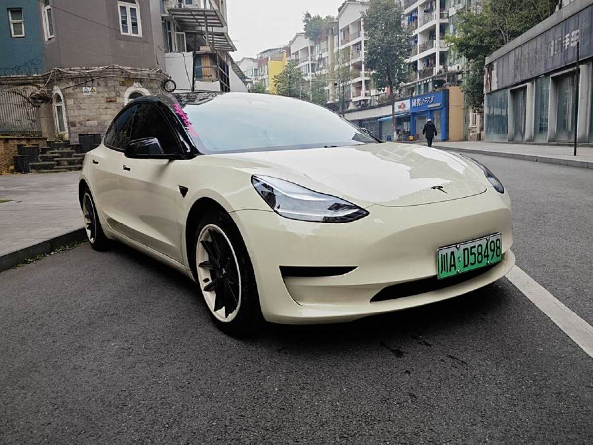 特斯拉 Model 3  2020款 改款 標(biāo)準(zhǔn)續(xù)航后驅(qū)升級版圖片