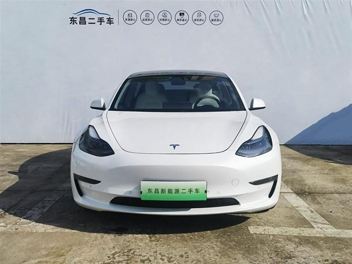 特斯拉 Model Y  2021款 Performance高性能全輪驅(qū)動(dòng)版圖片