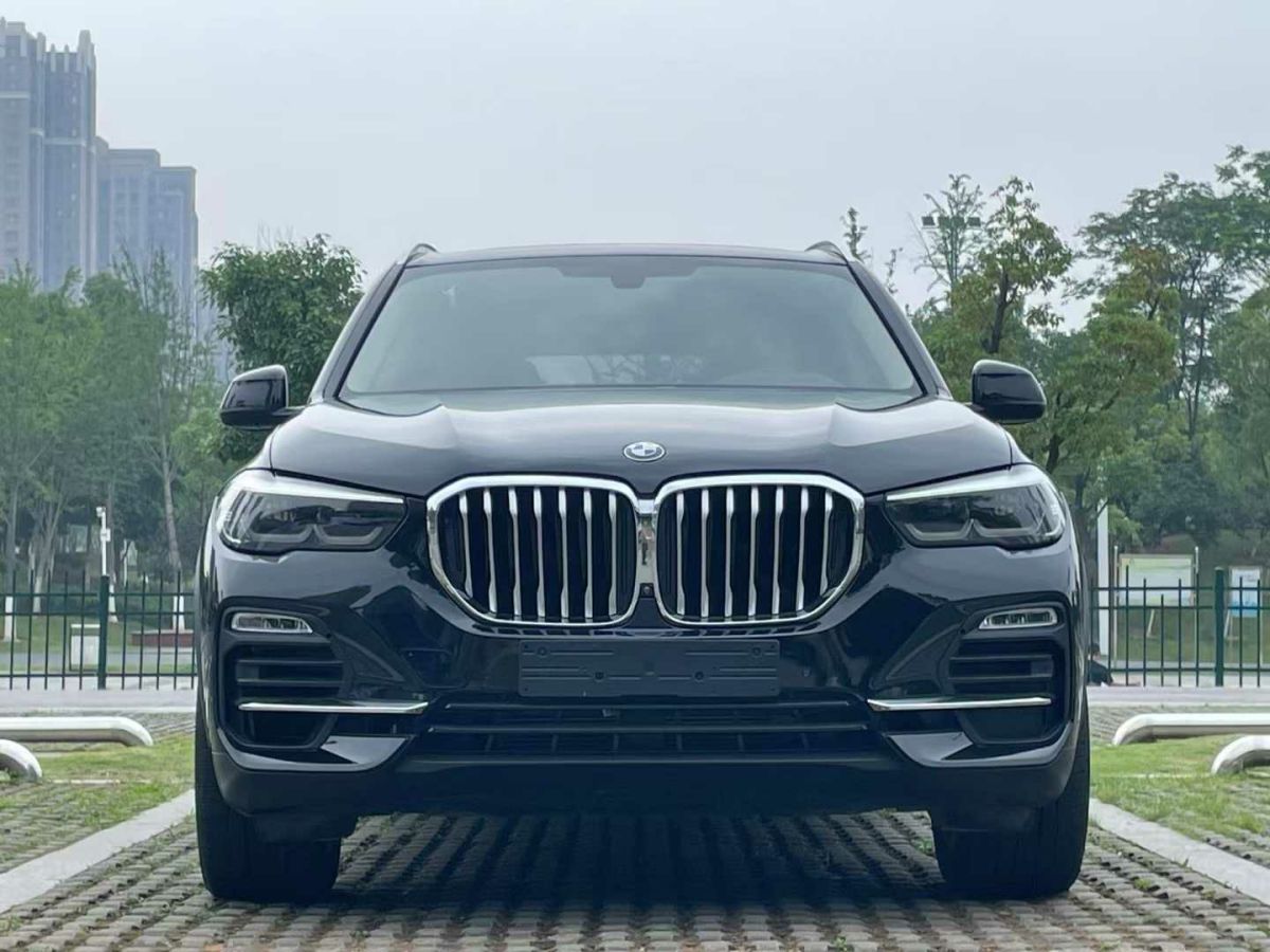 寶馬 寶馬X5  2021款 xDrive30i X設(shè)計(jì)套裝圖片