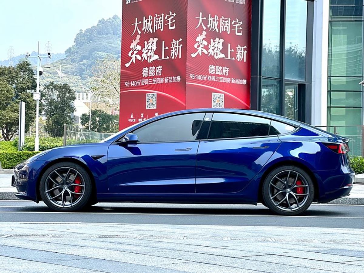 特斯拉 Model Y  2021款 Performance高性能全輪驅(qū)動(dòng)版圖片