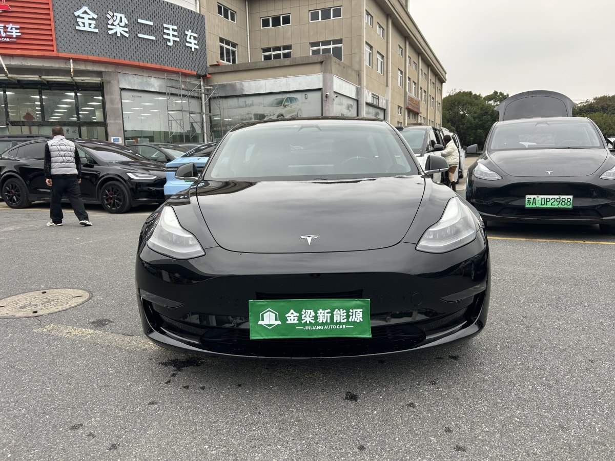 特斯拉 Model 3  2020款 改款 長續(xù)航后輪驅(qū)動版圖片