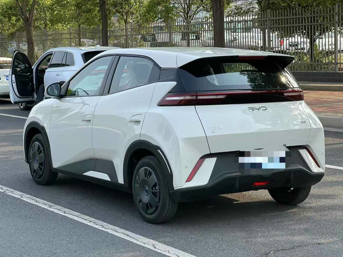 比亞迪 宋Pro新能源  2025款 第二代 智駕版 DM-i 115KM卓越型圖片