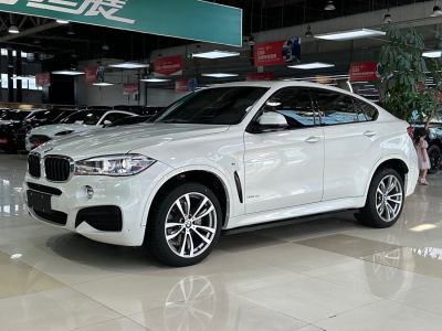 2019年3月 宝马 宝马X6(进口) xDrive28i图片