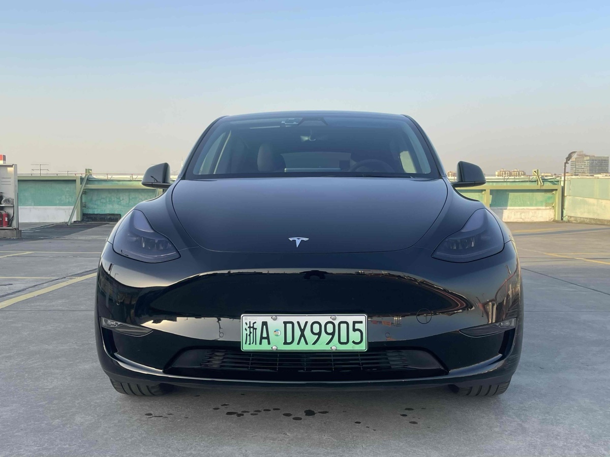 特斯拉 Model 3  2021款 改款 標準續(xù)航后驅升級版圖片