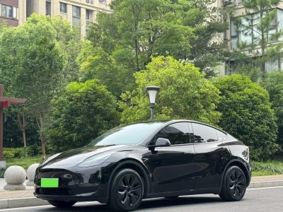 2023年12月 特斯拉 Model Y 長續(xù)航全輪驅動版圖片