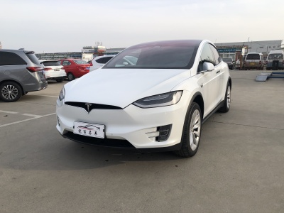 2017年5月 特斯拉 Model X Model X 90D圖片