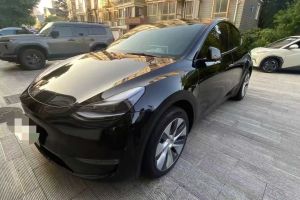 Model Y 特斯拉 Performance高性能版