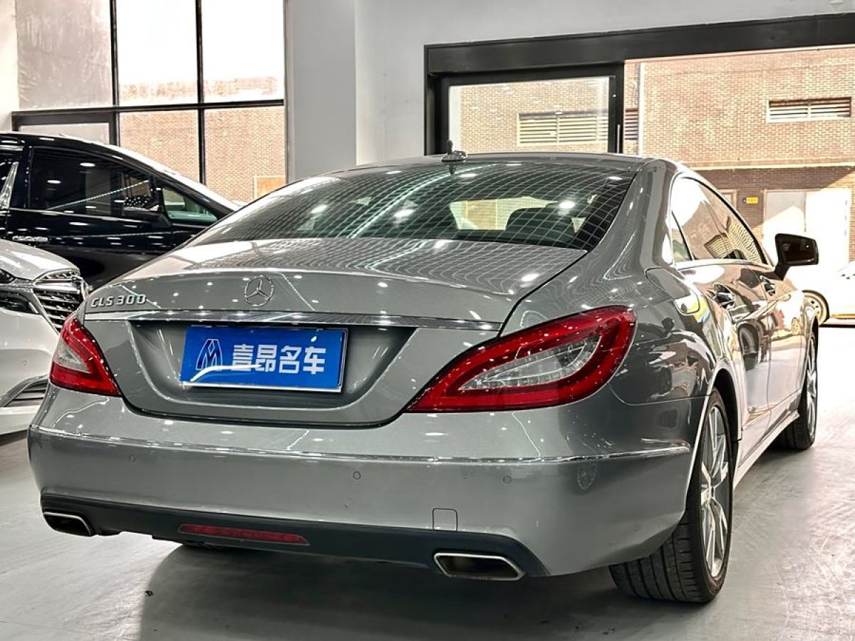 奔馳 奔馳CLS級(jí)  2012款 CLS 300 CGI圖片