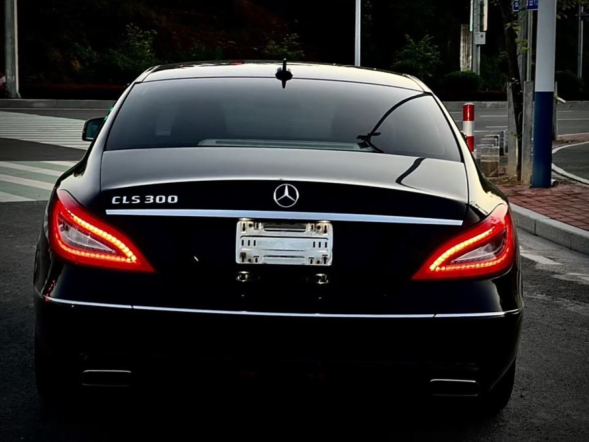 奔馳 奔馳CLS級  2012款 CLS 300 CGI圖片