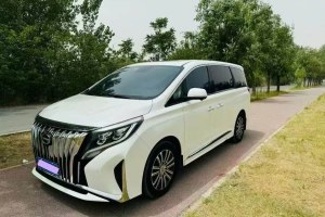 M8 廣汽傳祺 大師系列 390T 尊貴版