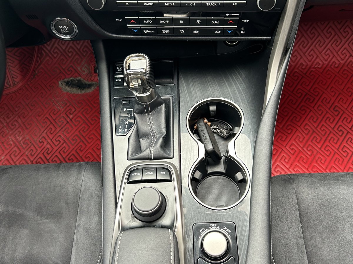 2019年3月雷克萨斯 RX  2016款 300 两驱舒适版 国V