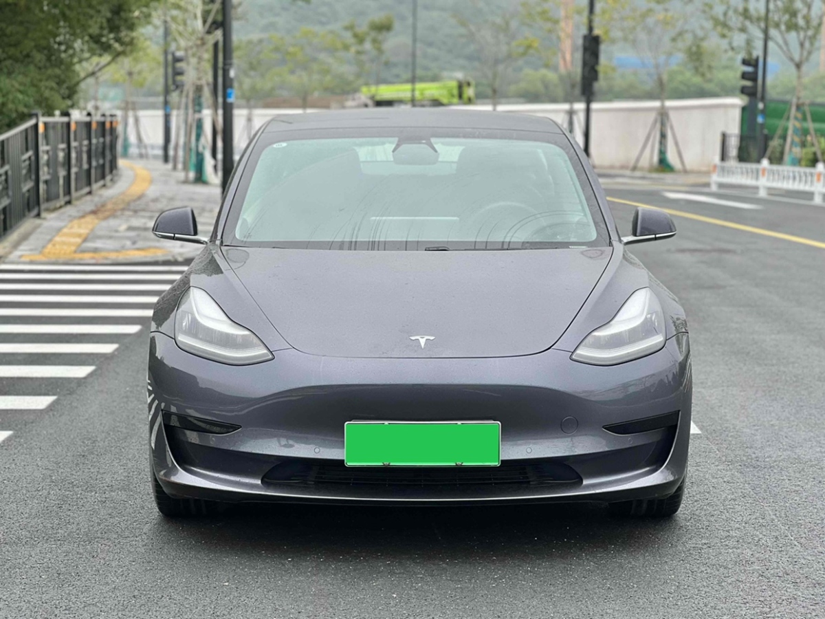 特斯拉 Model Y  2020款 改款 標準續(xù)航后驅(qū)升級版圖片