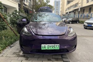 Model Y 特斯拉 后轮驱动版