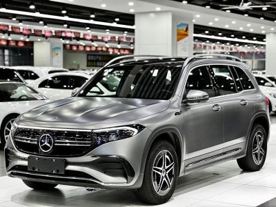 2022年5月 奔馳 奔馳EQB EQB 350 4MATIC 首發(fā)特別版圖片