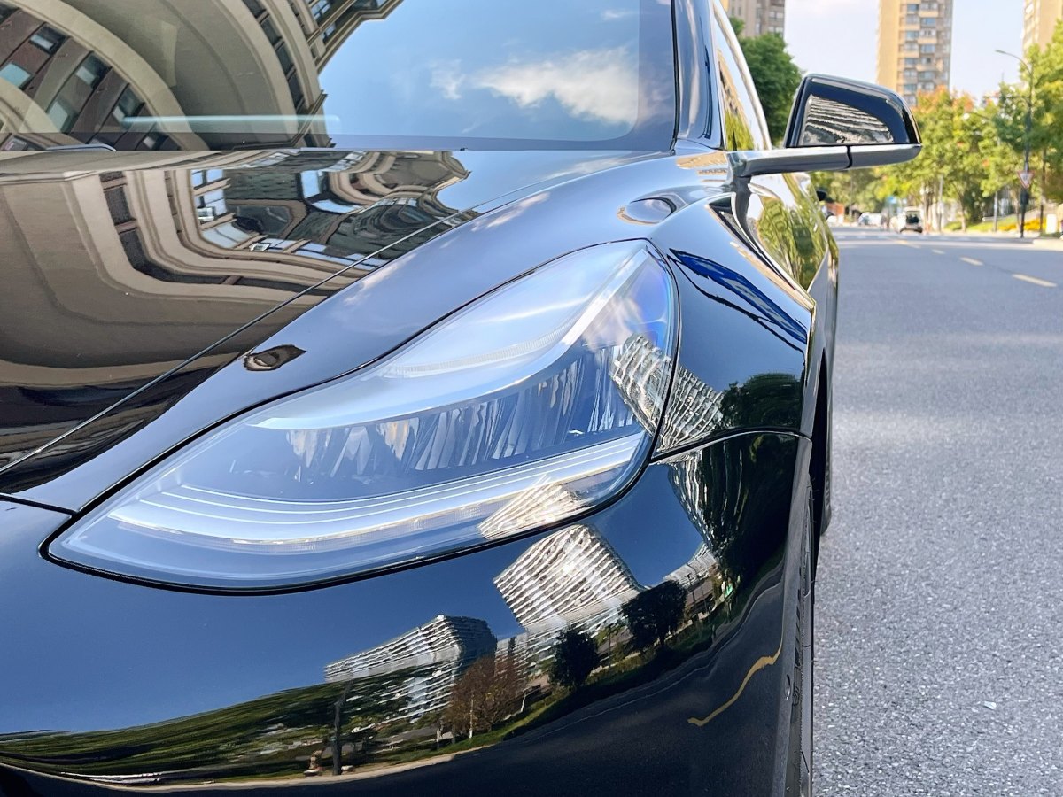 特斯拉 Model 3  2019款 標(biāo)準(zhǔn)續(xù)航后驅(qū)升級版圖片