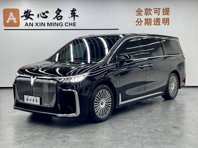 2024年12月 嵐圖 夢想家 PHEV 四驅(qū)尊貴鯤鵬版圖片