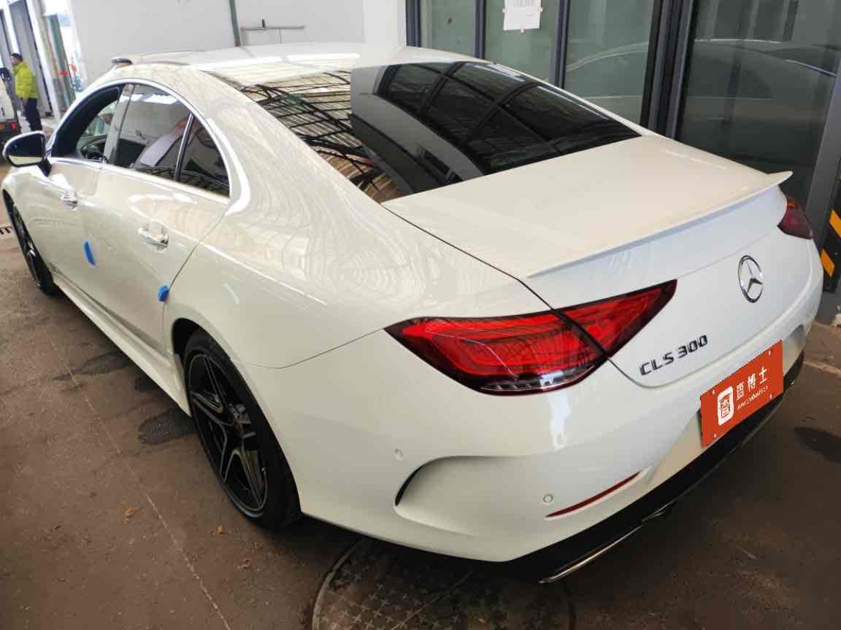 奔馳 奔馳CLS級(jí)  2021款 改款 CLS 300 豪華型圖片