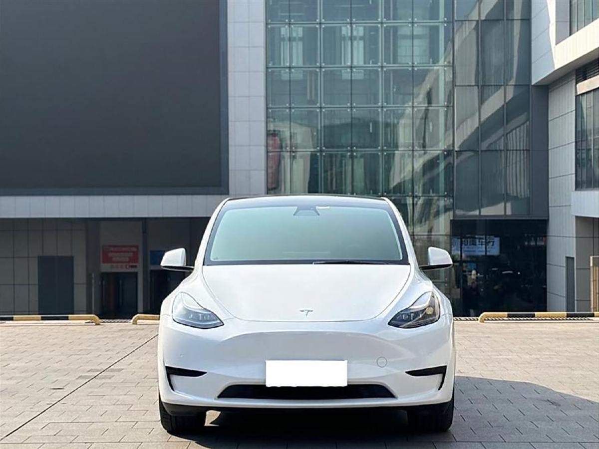 特斯拉 Model 3  2022款 后輪驅(qū)動(dòng)版圖片