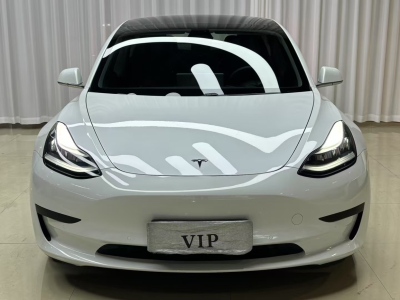 2020年06月 特斯拉 Model 3 標(biāo)準(zhǔn)續(xù)航后驅(qū)升級版圖片