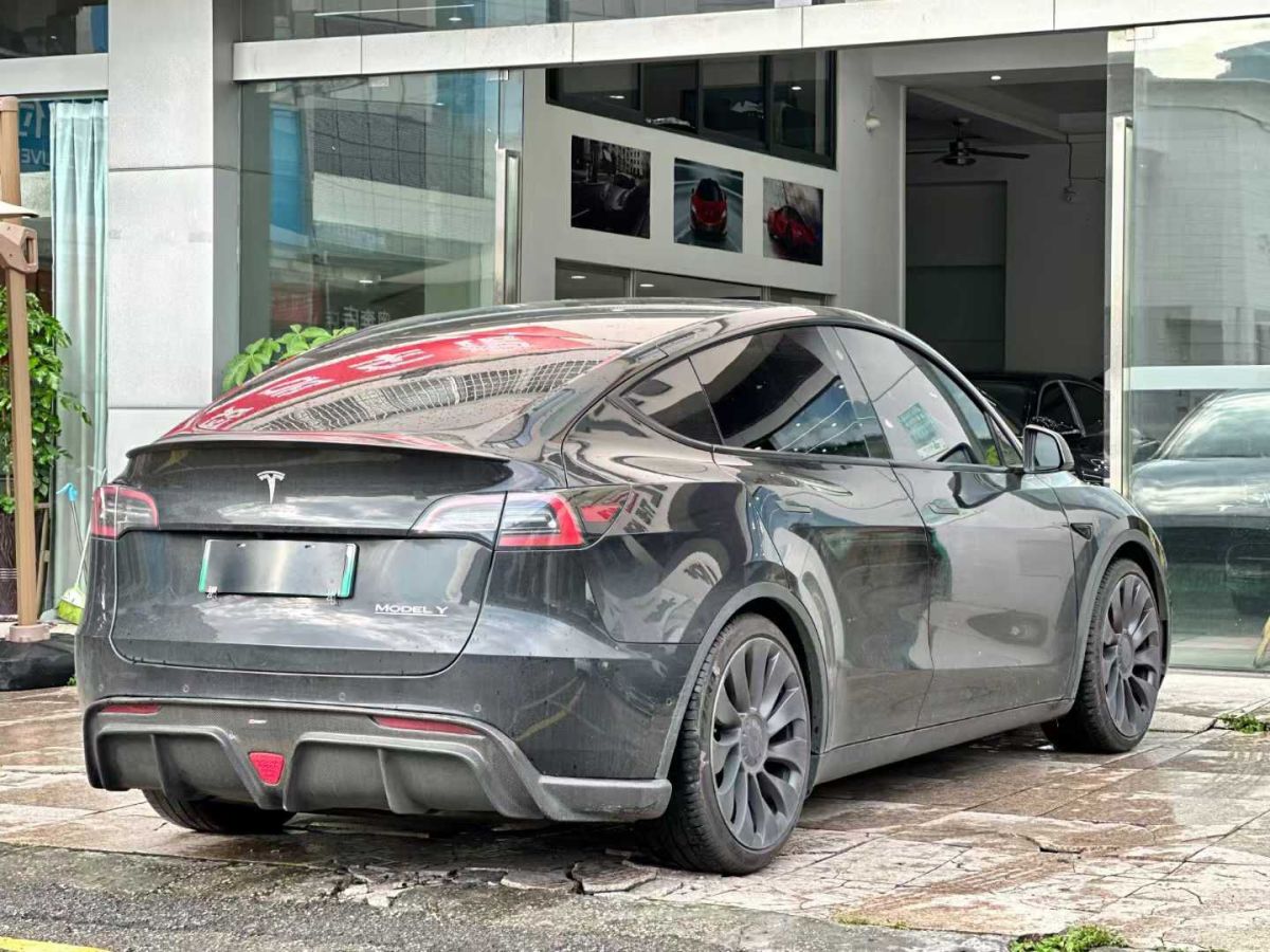 特斯拉 Model Y  2022款 Performance高性能全輪驅(qū)動版圖片
