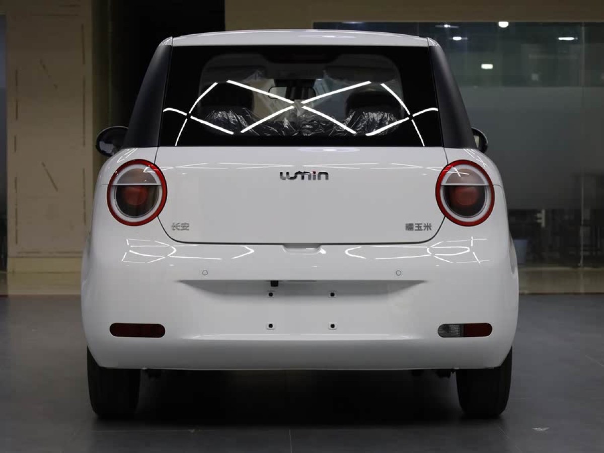 長(zhǎng)安 長(zhǎng)安Lumin  2023款 205km 香沁款圖片