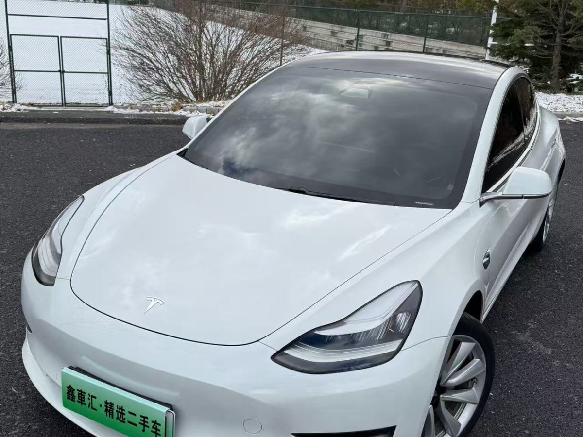 特斯拉 Model 3  2020款 改款 長(zhǎng)續(xù)航后輪驅(qū)動(dòng)版圖片