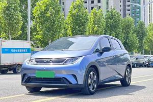 海豚 比亞迪 榮耀版 302km 活力版