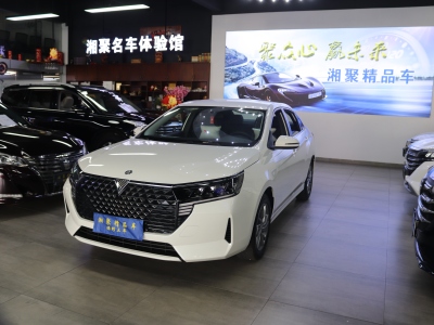 2024年10月 啟辰 D60 PLUS 1.6L XV CVT智領版圖片