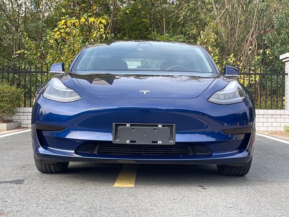 特斯拉 Model 3  2019款 標(biāo)準(zhǔn)續(xù)航后驅(qū)升級版圖片