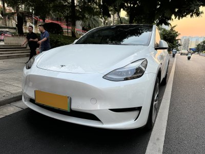 2021年5月 特斯拉 Model 3 長續(xù)航煥新版 雙電機(jī)全輪驅(qū)動(dòng)圖片