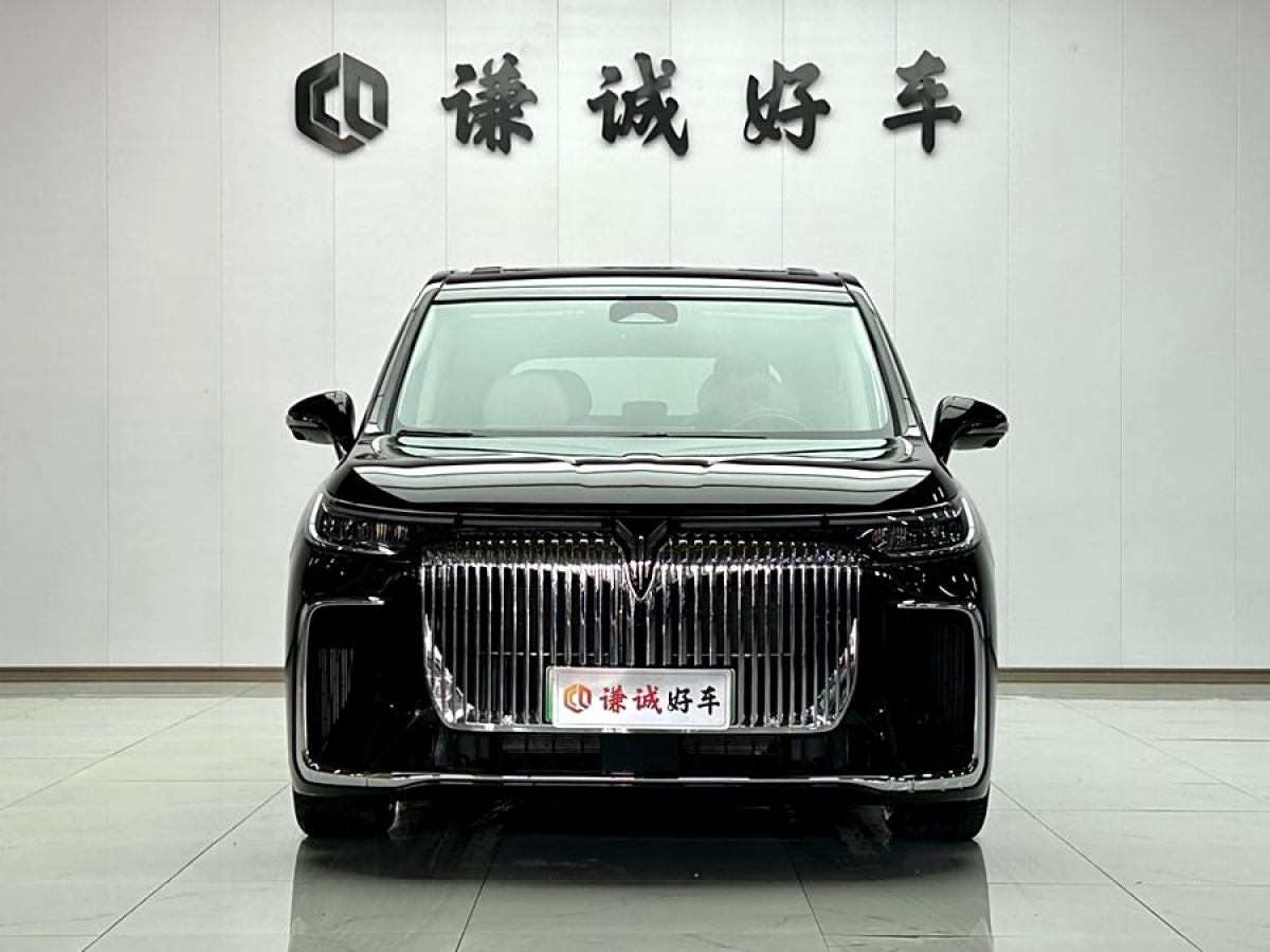 嵐圖 夢(mèng)想家  2025款 PHEV 四驅(qū)尊貴鯤鵬版圖片