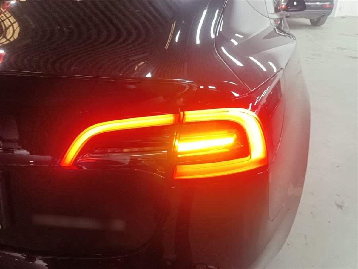 特斯拉 Model 3  2022款 后輪驅(qū)動(dòng)版圖片