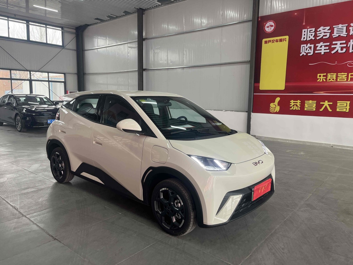 比亞迪 海鷗  2024款 榮耀版 305km 自由版圖片