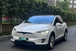 Model X 特斯拉 Model X 100D 长续航版