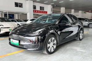 Model Y 特斯拉 改款 后輪驅(qū)動(dòng)版