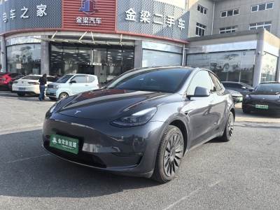 2021年3月 特斯拉 Model Y 长续航焕新版 双电机全轮驱动图片