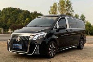 威霆 奔馳 2.0T 商務(wù)版 7座