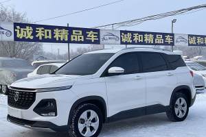 530 寶駿 全球車周年紀念版 1.5T 手動舒適型 5座