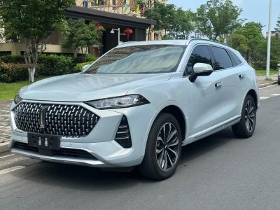 2021年12月 長城 摩卡 2.0T 兩驅(qū)特醇版圖片