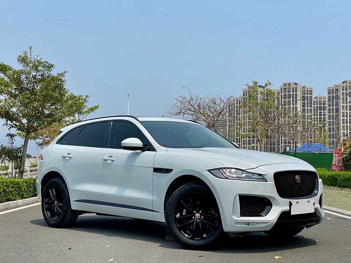 捷豹 F-PACE  2020款 2.0T 賽旗版圖片