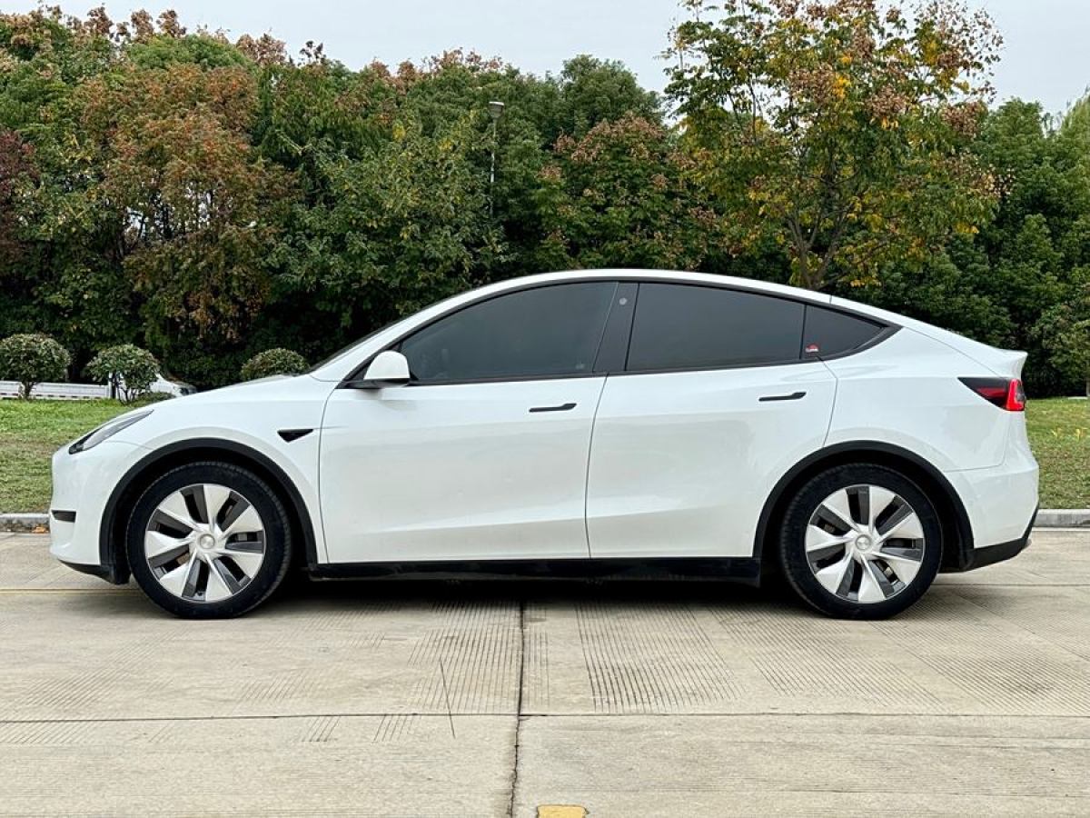 特斯拉 Model 3  2020款 改款 長(zhǎng)續(xù)航后輪驅(qū)動(dòng)版圖片